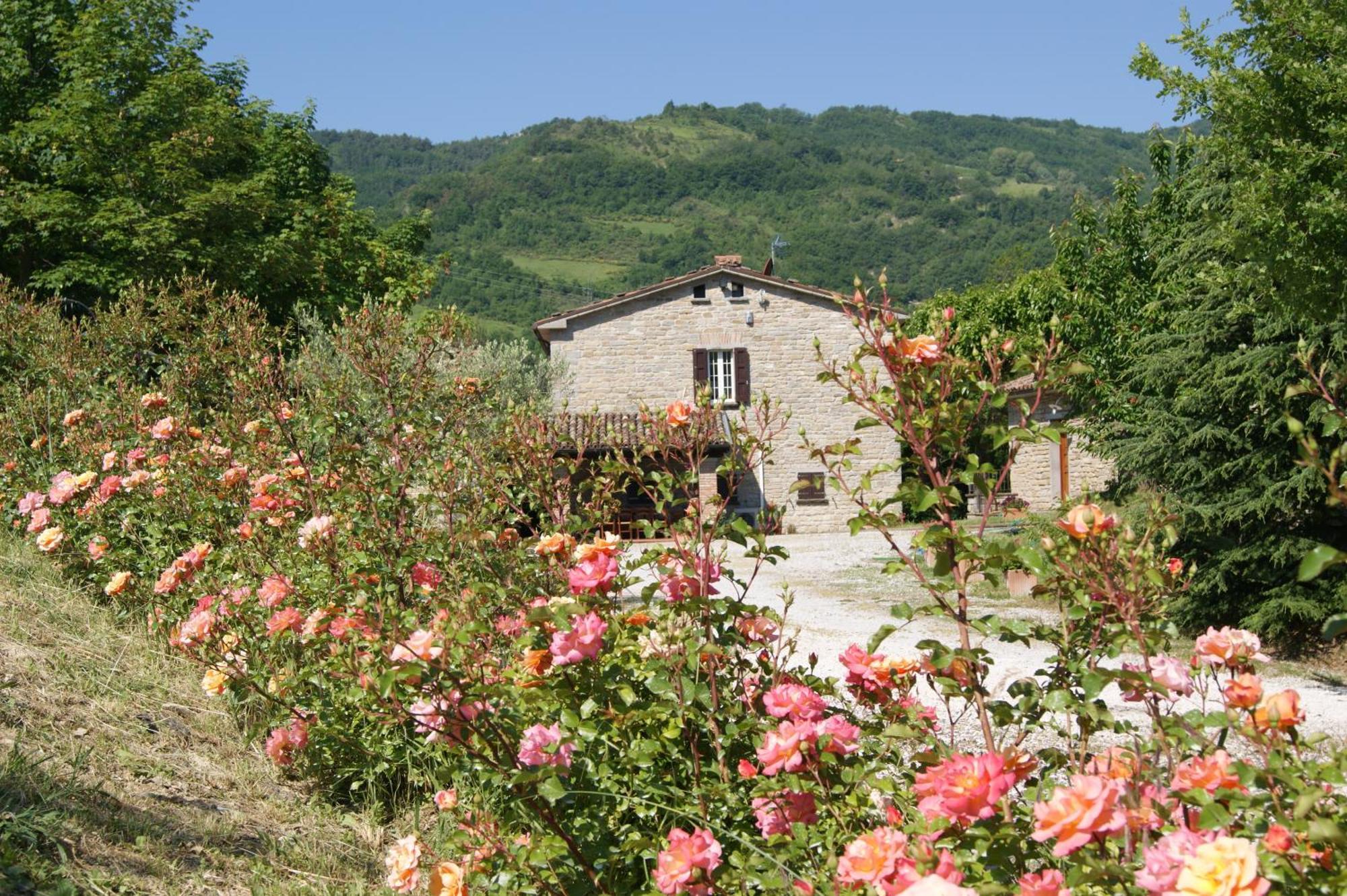 Agriturismo Corte Dei Mori Brisighella Exterior photo